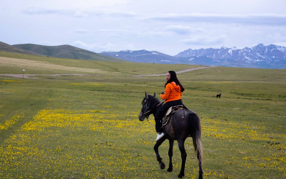 A rider galloping across a flowering mountain meadow